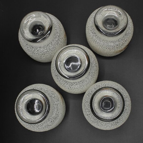 Set of 5 Vintage West Virginia Frosted Glass Cocktail Tumblers Pheasant Design - Picture 4 of 5